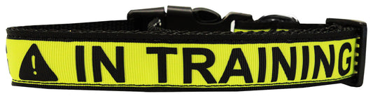 In Training Caution Tape Nylon Dog Collar Xl